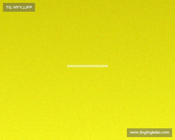 加帅正改进多夫比克弱点队长将围绕出场次数最多球员制定战术