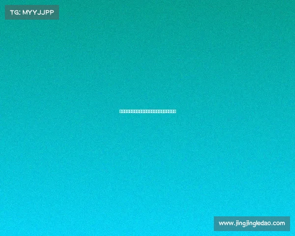 德国德甲球星崛起：本土足球天赋与未来之星的风采